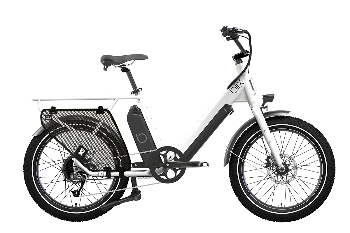 Dubbel Utility Bike
