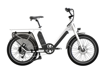 Dubbel Utility Bike