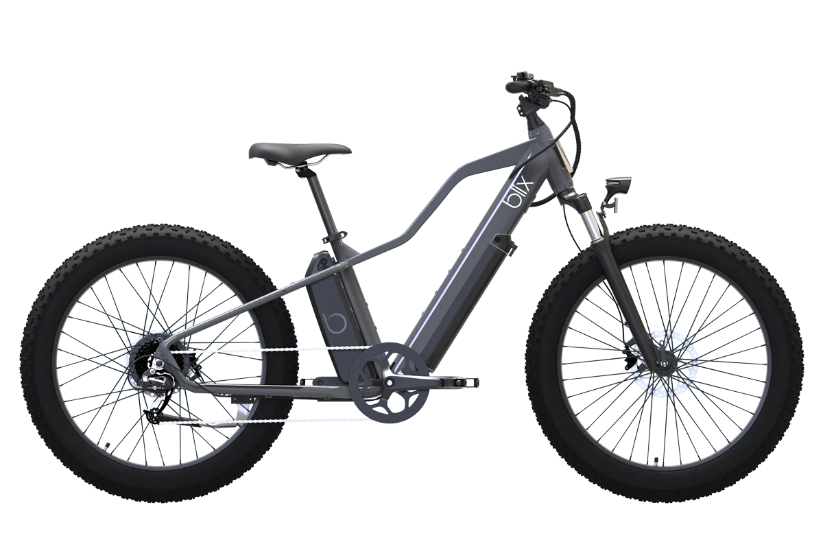 Ultra All-Terrain Ebike